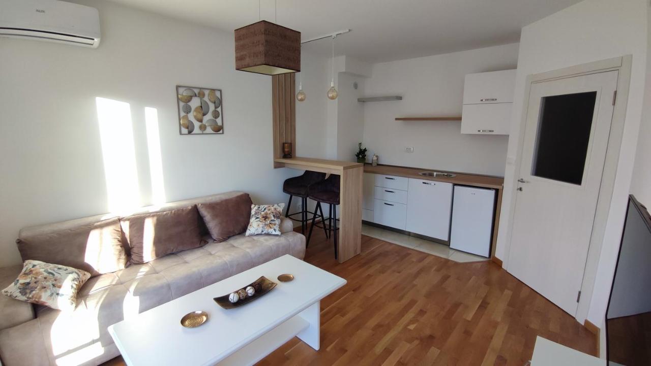Apartmani Stari Aerodrom ポドゴリツァ エクステリア 写真